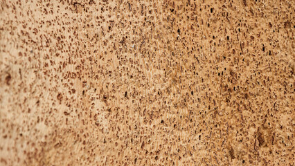 Texture of cork tree bark, peeled cork strips