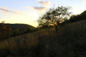 Naturschutzgebiet Haarberg zwischen den Weinorten Euerdorf und Wirmsthal im Abendlicht, Landkreis Bad Kissingen, Franken, Unterfranken, Bayern, Deutschland