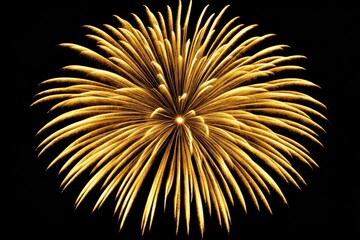 Golden Fireworks Burst