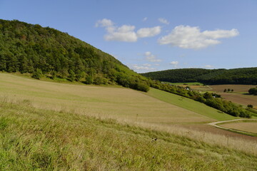 Naturschutzgebiet Haarberg zwischen den Weinorten Euerdorf und Wirmsthal , Landkreis Bad Kissingen, Franken, Unterfranken, Bayern, Deutschland