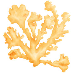 Watercolor coral reef flora and seaweed under the sea © vavavan