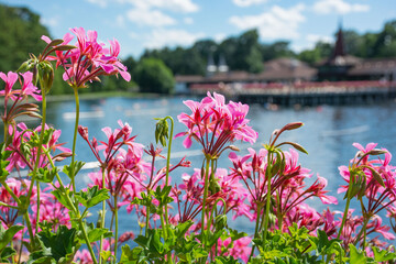 Pink geraniums growing in a hedge by a picturesque lake, sunny day. High quality photo