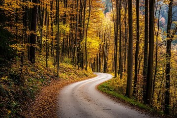 Obraz premium A winding road through the lush, mountainous forests of Tyrol, Austria.