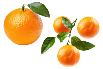PNG set of fresh oranges with green leaves