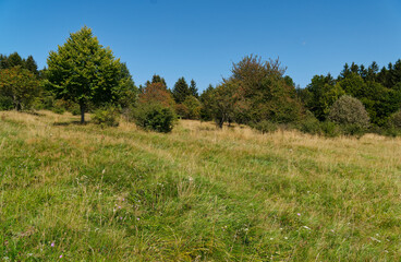 Landschaft am Himmeldunkberg im Bioshärenreservat Rhön zwischen Hessischer Rhön und Bayerischer Rhön, Deutschland