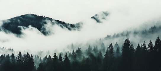 Landscape picture