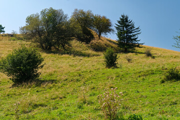 Obraz premium Landschaft am Rockenstein bei Oberweißenbrunn, Bioshärenreservat Rhön, Landkreis Rhön-Grabfeld, Unterfranken, Franken, Bayern, Deutschland