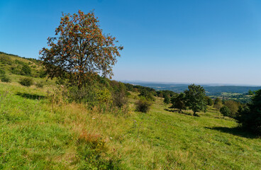 Obraz premium Landschaft am Rockenstein bei Oberweißenbrunn, Bioshärenreservat Rhön, Landkreis Rhön-Grabfeld, Unterfranken, Franken, Bayern, Deutschland