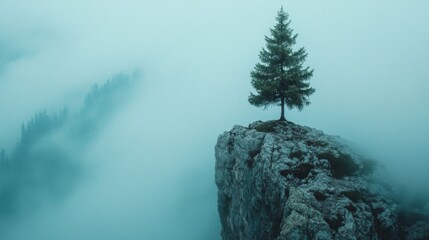 Lone Tree Stands Tall on Misty Mountaintop