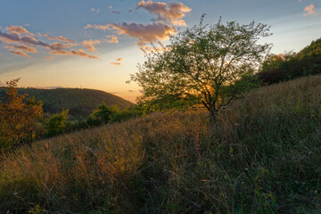 Naturschutzgebiet Haarberg zwischen den Weinorten Euerdorf und Wirmsthal im Abendlicht, Landkreis Bad Kissingen, Franken, Unterfranken, Bayern, Deutschland