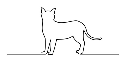 outline cat