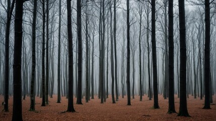 Fototapeta premium a forest filled with trees and leaves