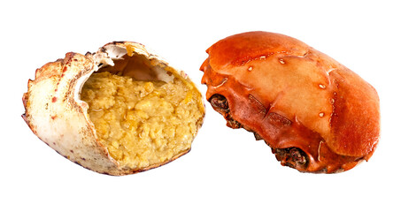 Poo Oung: Cream of Crabs or Crab paste in the crabs shells . Gifts from the Rice fields, A northern Thai speciality that is eaten as a pungent dipping sauce for sticky rice. PNG file
