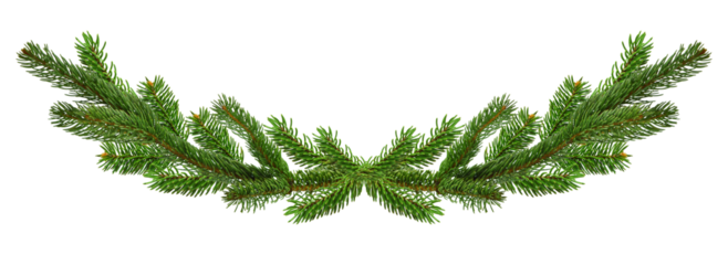 Long spruce garland. Large Christmas garland of green spruce branches. Panorama. Isolated On transparent, png