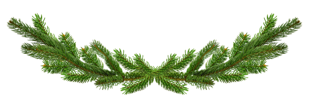 Long spruce garland. Large Christmas garland of green spruce branches. Panorama. Isolated On transparent, png