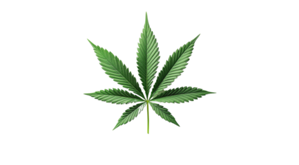 PNG, Medical, cannabis leaf isolated on white background, created and generated by AI technology.
