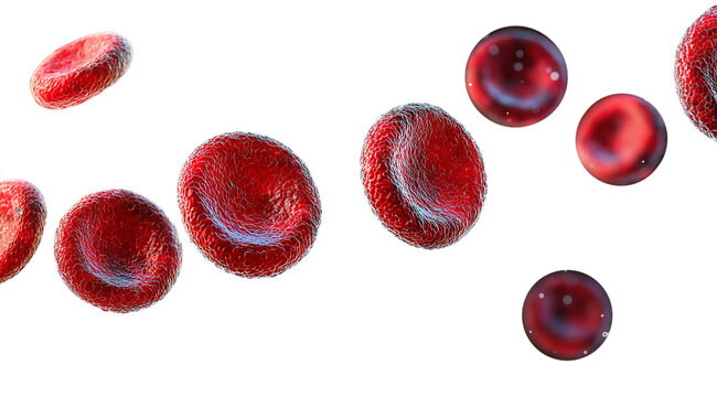 PNG, world blood donation month, isolated on white background, created and generated by AI technology. - Powered by Adobe