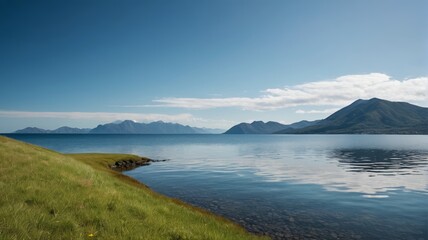 Fototapeta premium the sky is blue