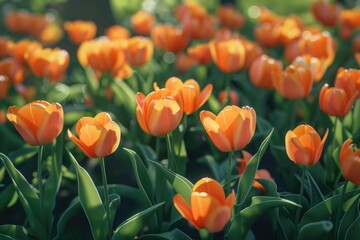 cute flower