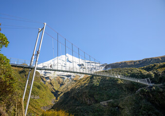 Tourist walking on Manganui Gorge suspension bridge. Snow-capped Mt Taranaki in the background. Taranaki. New Zealand.