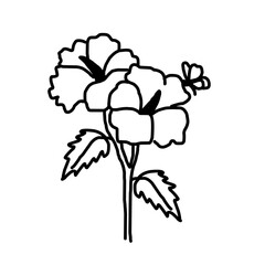 hand drawn flower