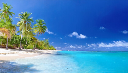 Naklejka premium A Palm Beach In Tropical Paradise - Guadalupe Island - Caribbean