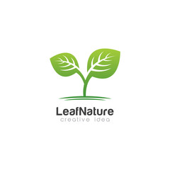 Creative Leaf Concept Logo Design Template
