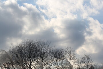 Image of a beautiful fantasy cloud spread across the sky over Dadaepo Beach in Busan
