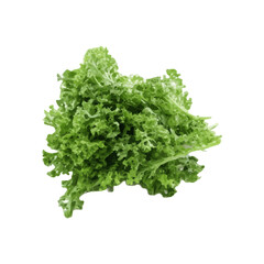 Fototapeta premium isolated fresh green vegetables realistic watercolor