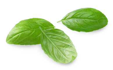 Basil leaf isolated on white background. Macro. clipping path