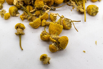 Dried chamomille blossoms