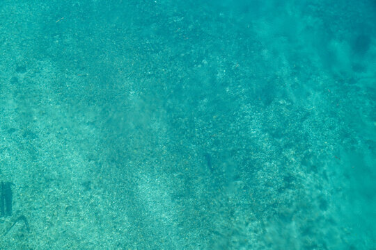 Gros Silure dans le Rh&ocirc;ne, vu depuis le pont