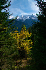 Österreich Wanderung am Schwazachtal am Zillertal/Salzburger Land