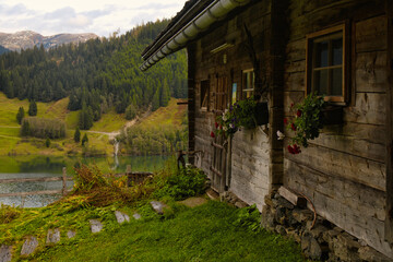 Österreich Wanderung am Schwazachtal am Zillertal/Salzburger Land