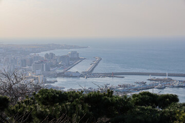 산 정상에서 보는 풍경 제주 제주시 건입동 사라봉