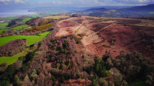 Aerial shot flying over colourful heathland and edge of Exmoor National Park
