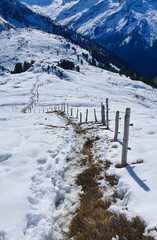 Österreich Wanderung am Plattenkogel am Zillertal/Salzburger Land