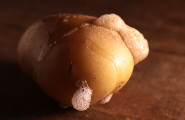 rotten potatoe