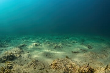 Fototapeta premium Underwater scene with sandy floor and sparse vegetation.