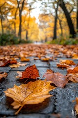 City park in autumn with bokeh effect on blurred background