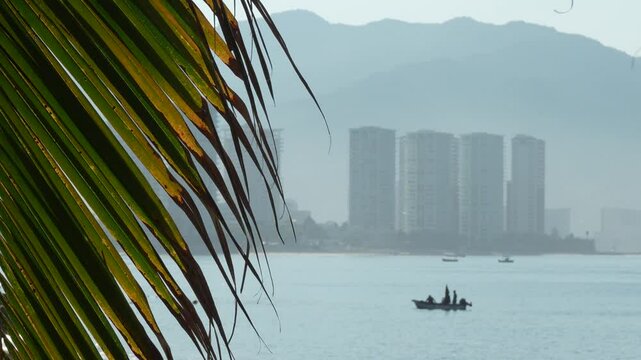 Puerto Vallarta beach with pal leaves swaying 