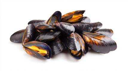 fresh steamed Zeeuwse Mosselen or Dutch Zeeland mussels