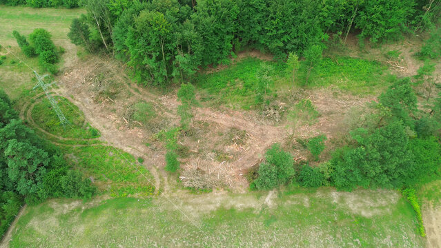 Aerial view highlights deforestation and forest loss