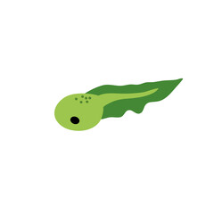 Cartoon tadpole vector illustration 