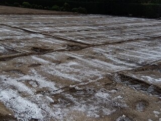 土壌改良剤のまかれた秋の野菜畑風景