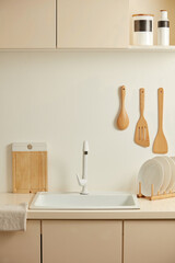 Frontal shot template photo at a white sink in beige contemporary style kitchen for hygiene product...