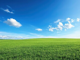 Fototapeta premium lush green landscape under a clear blue sky