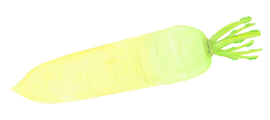 大根のイラスト