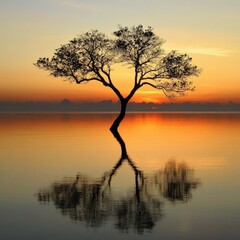Naklejka premium serene sunset over calm water with silhouette of a tree