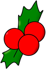 Christmas berry